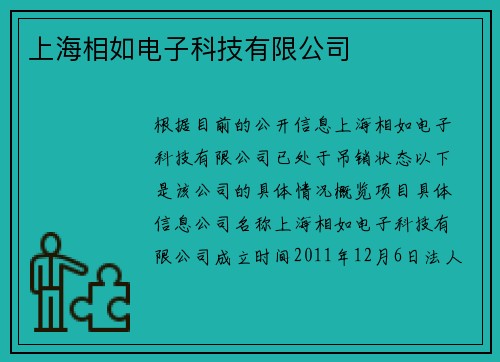 上海相如电子科技有限公司